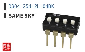 DS04-254-2L-04BK