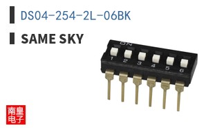 DS04-254-2L-06BK