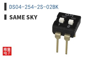 DS04-254-2S-02BK