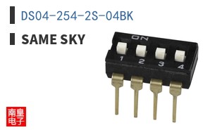 DS04-254-2S-04BK