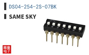 DS04-254-2S-07BK