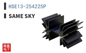 HSE13-254225P