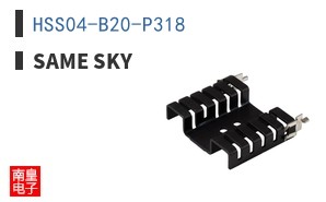 HSS04-B20-P318