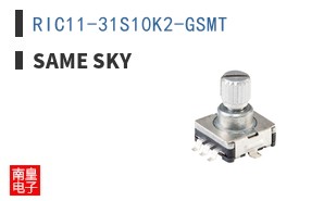RIC11-31S10K2-GSMT