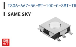 TS06-667-55-WT-100-G-SMT-TR