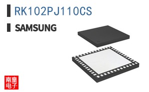 RK102PJ110CS