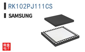 RK102PJ111CS