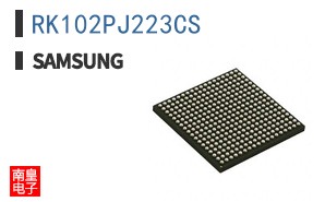 RK102PJ223CS