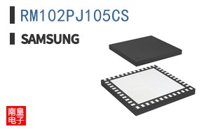 RM102PJ105CS