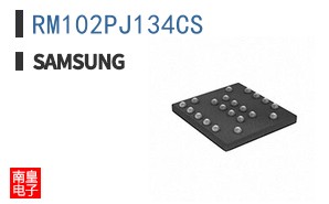 RM102PJ134CS