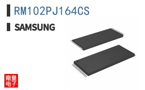 RM102PJ164CS