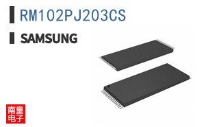 RM102PJ203CS