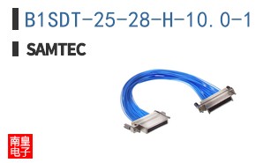 B1SDT-25-28-H-10.0-1