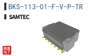BKS-113-01-F-V-P-TR
