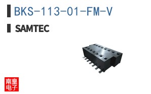 BKS-113-01-FM-V
