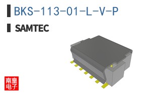 BKS-113-01-L-V-P