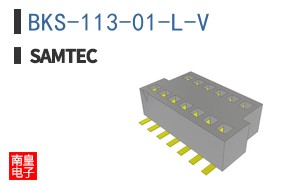 BKS-113-01-L-V