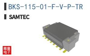 BKS-115-01-F-V-P-TR
