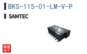BKS-115-01-LM-V-P