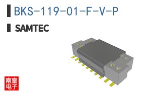 BKS-119-01-F-V-P
