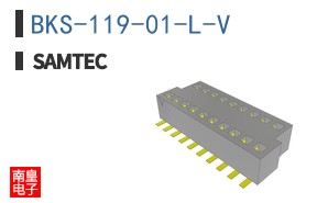 BKS-119-01-L-V
