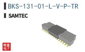 BKS-131-01-L-V-P-TR