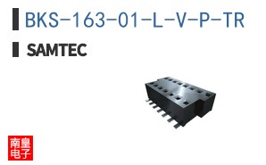 BKS-163-01-L-V-P-TR