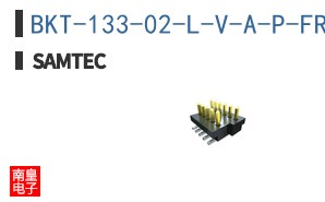 BKT-133-02-L-V-A-P-FR