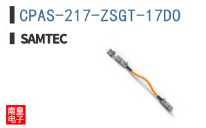 CPAS-217-ZSGT-17DO