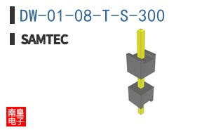 DW-01-08-T-S-300