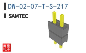 DW-02-07-T-S-217