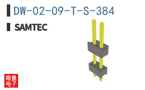 DW-02-09-T-S-384