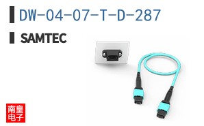 DW-04-07-T-D-287