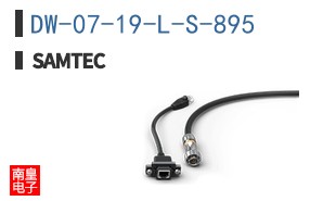 DW-07-19-L-S-895