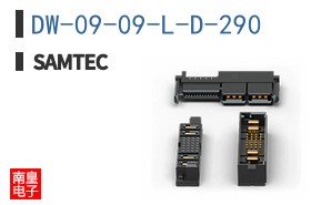 DW-09-09-L-D-290