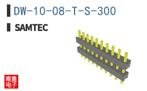 DW-10-08-T-S-300
