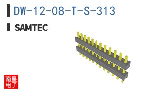 DW-12-08-T-S-313
