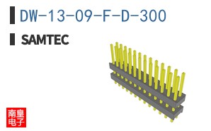 DW-13-09-F-D-300