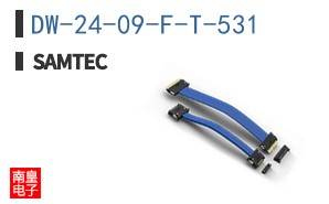 DW-24-09-F-T-531