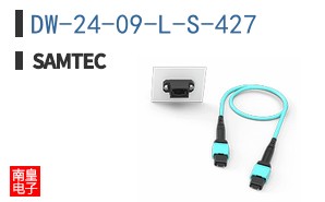 DW-24-09-L-S-427