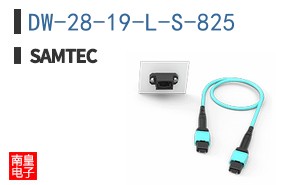 DW-28-19-L-S-825