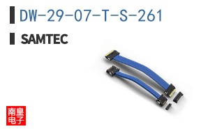 DW-29-07-T-S-261