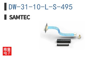 DW-31-10-L-S-495