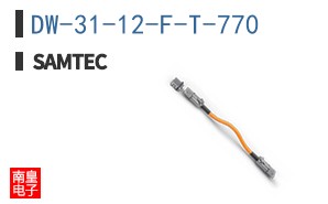 DW-31-12-F-T-770