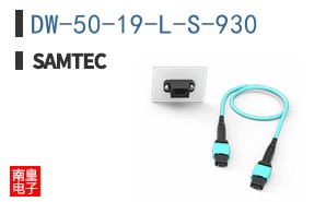DW-50-19-L-S-930