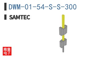 DWM-01-54-S-S-300