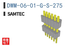 DWM-06-01-G-S-275