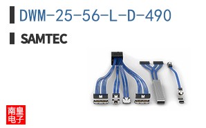 DWM-25-56-L-D-490