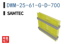 DWM-25-61-G-D-700
