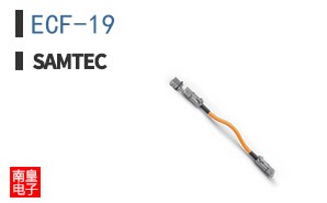 ECF-19
